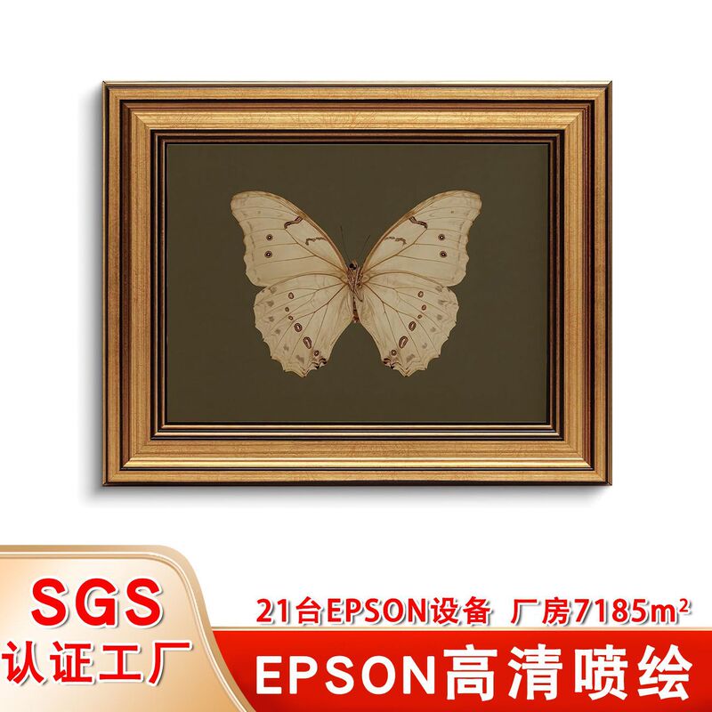 Amazon's Best-Selling Vintage Gold Frame Printed Bedroom Decorative Painting European-Style Picture Frame Butterfly Spray-Painted Canvas Painting Core Amazon's Best-Selling Vintage Gold Frame Printed Bedroom Decorative Painting European-Style Picture Frame Butterfly Spray-Painted Canvas Painting Core
