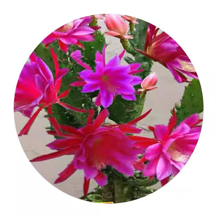 微信图片_20220920120605