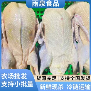 �Bֳ��ɢ�B���^������3��������ֻ���r�F���G�^Ұ�������հl؛