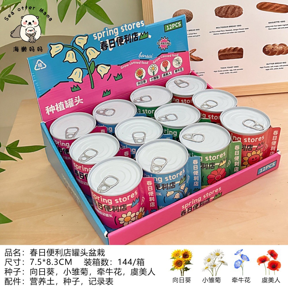 Nuevo creativo DIY niños plantas en maceta caja ciega decoración de escritorio interesante regalo de premios estudiantes pequeñas mujeres en maceta image 7