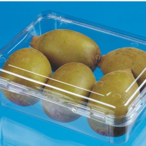 批发一次性塑料环 保餐盒/透明盒/草莓盒/蓝莓/水果盒