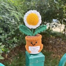 �羳�¿�Whimsical Croche3t Cactus �ֹ��h������ƶ���ֲ������