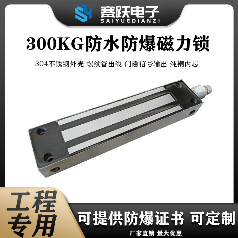 室外防水防爆磁力锁不锈钢智能锁外壳门禁电磁锁带信号电控锁