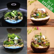 微观苔藓绿植物玻璃微景观组合盆栽生态瓶DIY材料包盆景套装