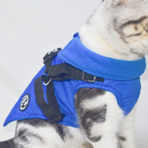 Dog clothes winter outfit Labrador thick cotton coat for small medium large dogs pet Golden Autumn Winter cotton coat harness