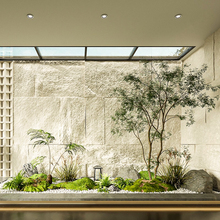 ɭ���g ����Gֲ �҃Ƚ����쾰�b��uצ���p�ݸ߶˄e��΢���^�٘�