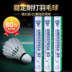 YNEX尤可斯羽毛球AS05训练比赛鹅毛球yy室内外防风稳定耐打球其他