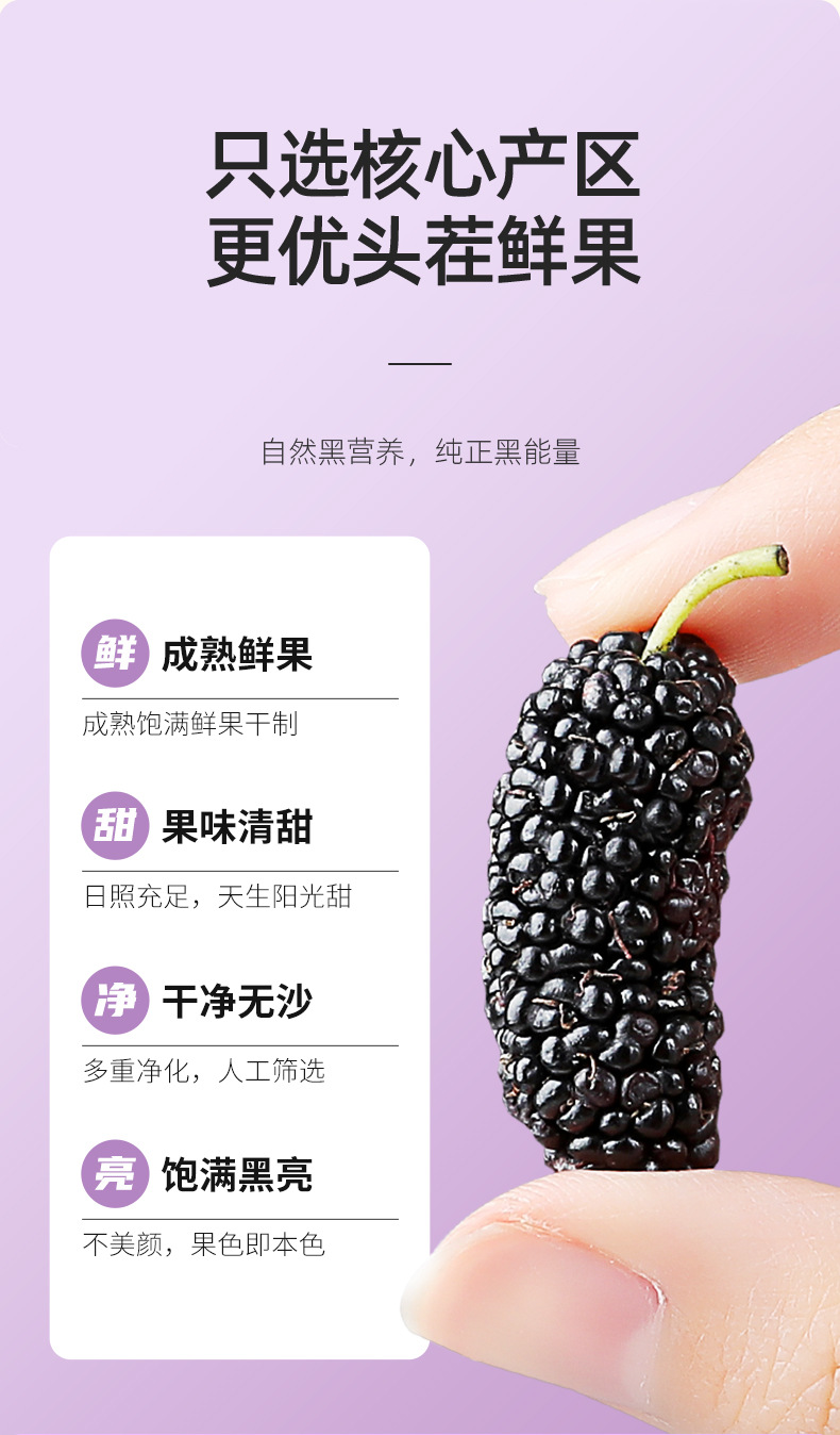 Dried Mulberry Fruit 250g Jar Hand Selected Large First Harvest Mulberries for Tea and Wine key features
