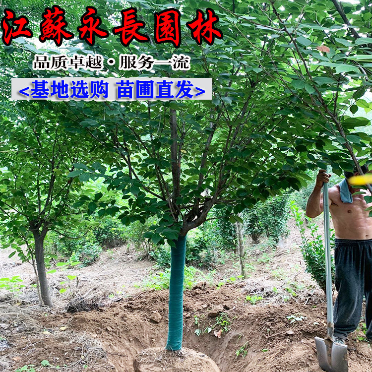 微信图片_2020023018