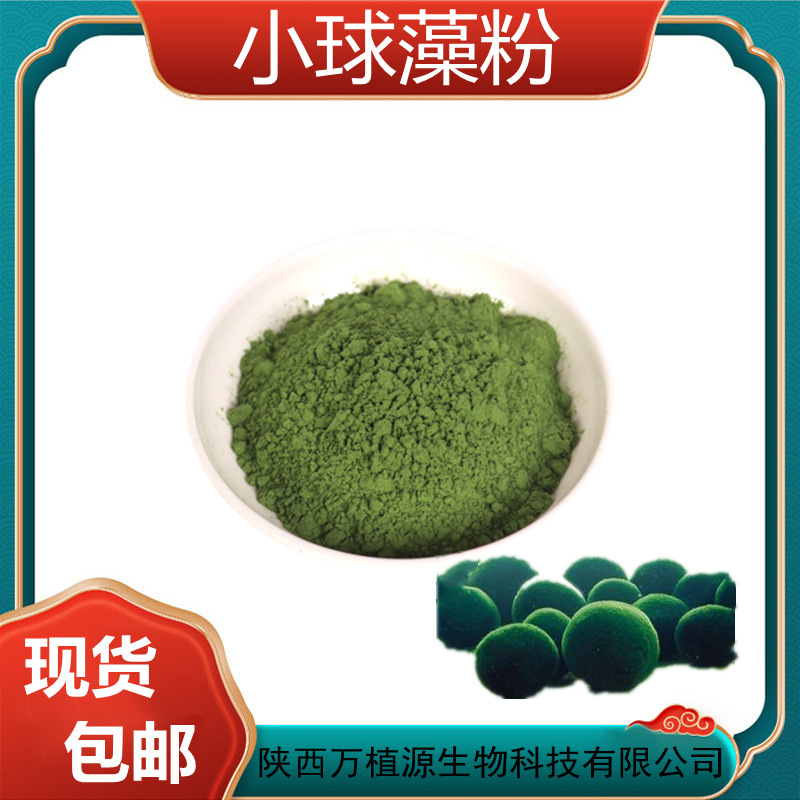 小球藻粉 98% 小球藻提取物 蛋白核小球藻粉 食品级 绿藻粉 现货