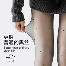 ������ڽz�p���ﶬ������������͸���c��~���b�ɲ�ж�ӽq����m