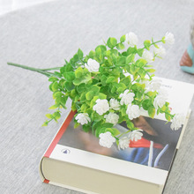 ����軨���ϻ��G�����̾Ƶ�ܛ�b�ٻ��߲�35Ŀ�ȼ����߷���