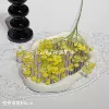 Soft glue full star