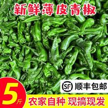 苏北农家自种新鲜虎皮薄皮青辣椒青椒菜椒牛角椒5斤时令蔬菜现摘
