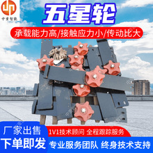 抗冲击性强五花轮 结构紧凑五花轮接触应力小 传动比大五花轮