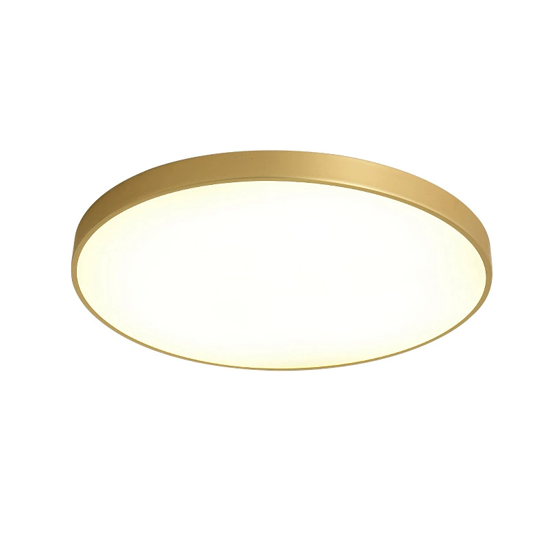 Golden LED ceiling light, lights for corridor, room light, light luxury style
