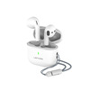 Cold wild lion cross -border private model wireless Bluetooth headset reduction in -ear long battery mini headset TWS dual channel