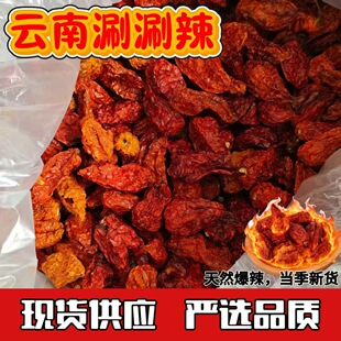 ���������ħ����ħ������������؛��������偼t�����{ζ�������l