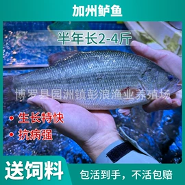 特种水产;水产种苗;库存农产品