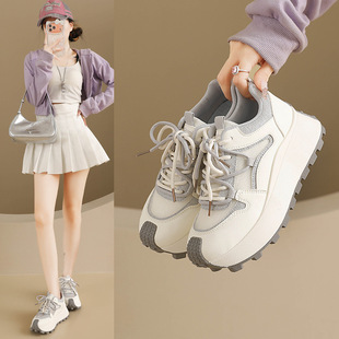 �n���¿��ϵ�ЬŮ2026�ļ��W���\���ܲ�Ь���eЬ�������HL8901