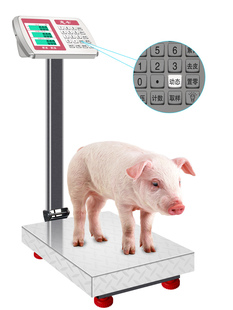 ���S150kg��ӳ�����100������ӷQ̨��С��Ӌ�r�Q��300���f����