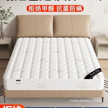 ϯ��˼���|�����������zܛ�|20cm��ӲҬ��1.5���ⷿ���Ï��ɴ��|