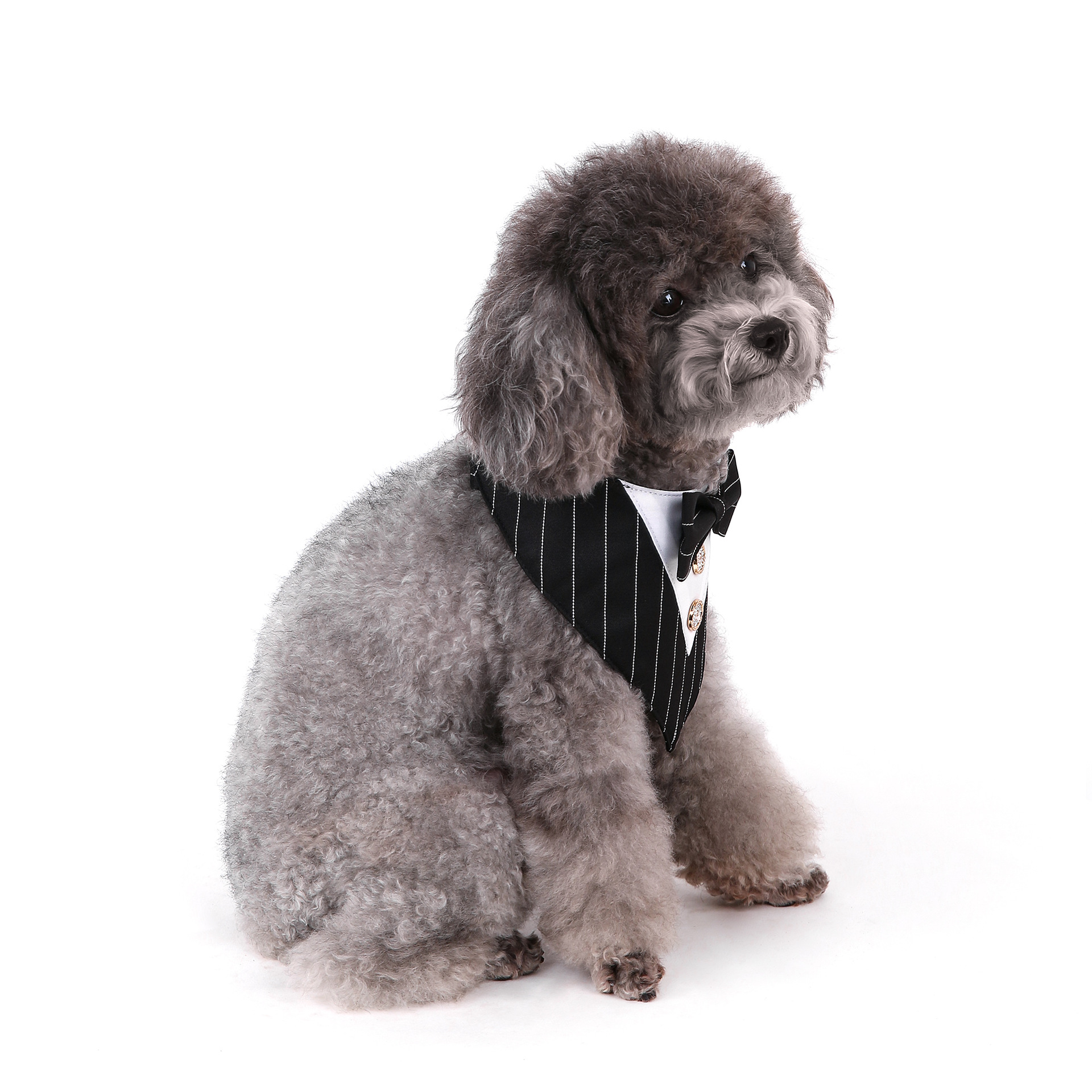 Navidad Año Nuevo Spot transfronterizo boda británica trajes toallas para mascotas bufandas perros velcro toallas para mascotas triángulos