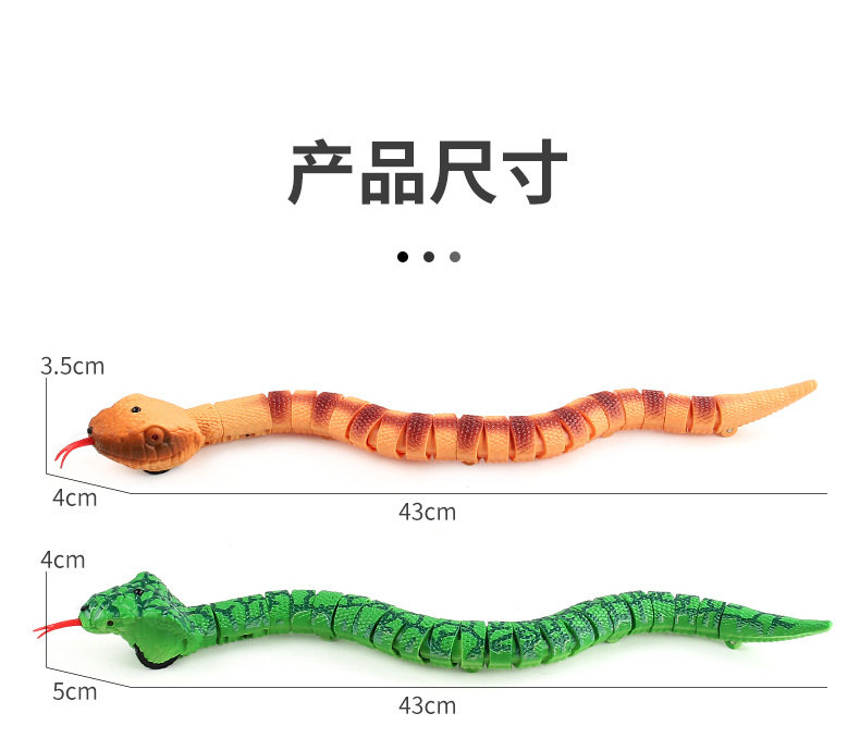 遥控蛇_10.jpg