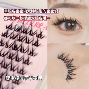 Luodou Single Eyelid False Eyelashes Natural Simulation Eyelashes Cross Thick Devil Swollen Eye Bubble Special Single Cluster Traceless