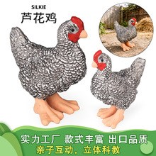 �羳������݄���ģ�͌��Ĺ��uĸ�u�J���u��ͯ�J֪���С�uȺ�[��