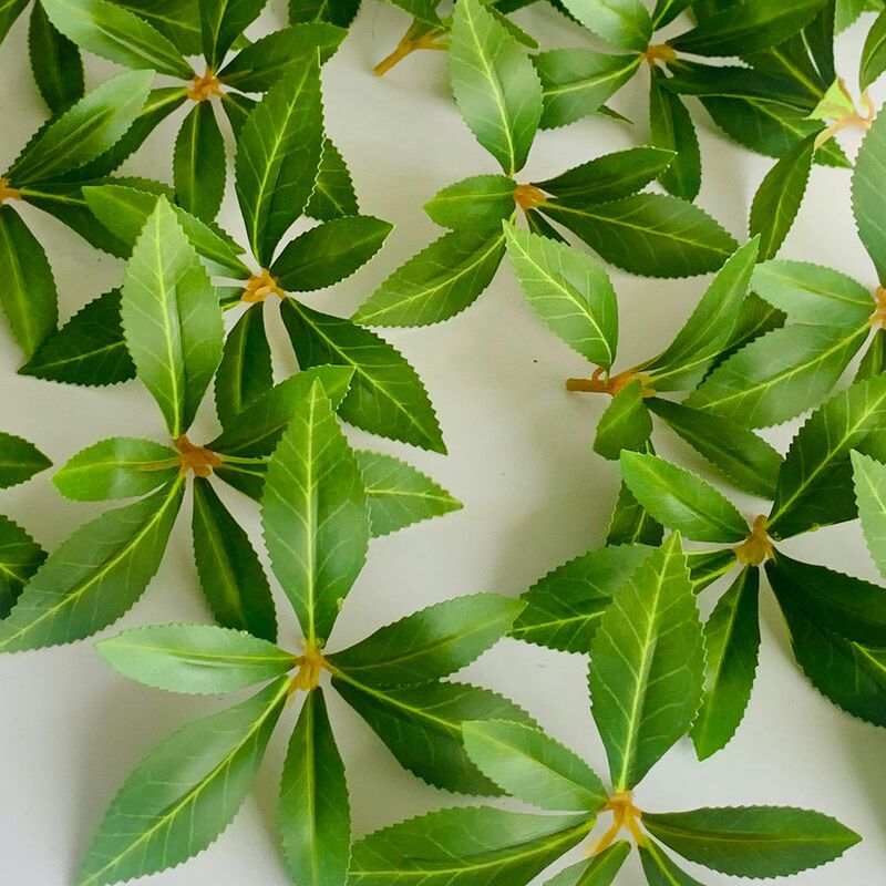 模擬馬酔木の葉、緑の植物、花の葉、装飾鉢植え、ツリーガーデンエンジニアリング、家庭用緑化用品|undefined