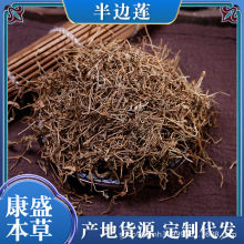 半边莲批发细米草急解索半边花半边连产地货量大优干药材中药材