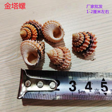 ��ݮ�R�� ��Ȼ����ؐ���ղؘ˱��ݼľ�з��Q��2�������� ����