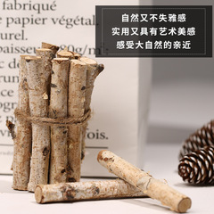 Pet Chew Toy Apple Branch Dog Biting Toy Birch Wood Branch Kindergarten DIY Decorated Hanging Ornament Amazon Natural Wood