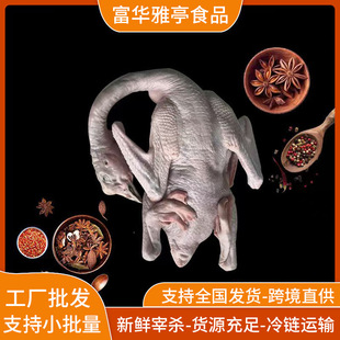 �������r�{�^�ZʳƷ��ɽ���S���l�F���ك����Z�^���r�Z�uˮ�uζ