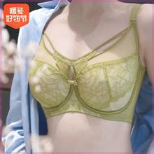 lansefeier/{ɫ^ @С۔nrԸٽz[3206]