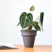 �������Ͳ����Gֲ�մ������ɫ�߿�����m����͸���p�ݸ߼���