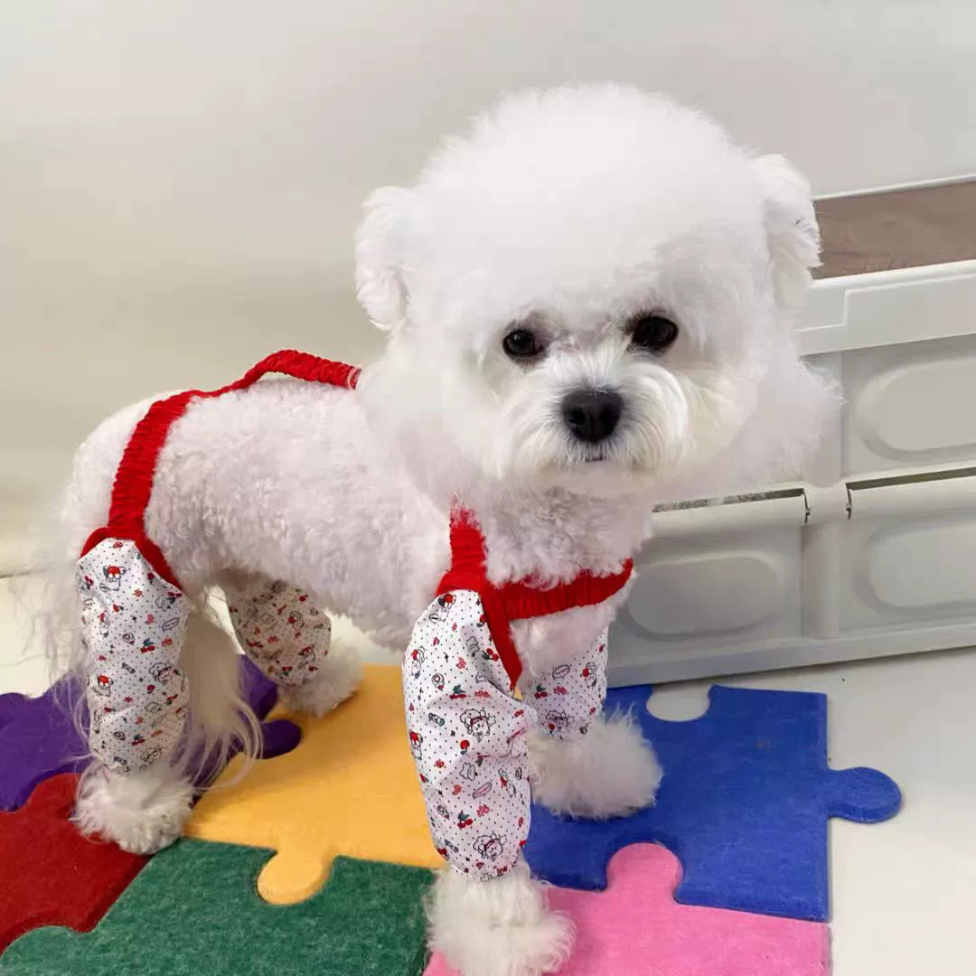 Налокотники для собак, наколенники для собак маленького и среднего размера Teddy Bichon, защита от грязи, защита от насекомых и грязи, универсальные для всех сезонов
