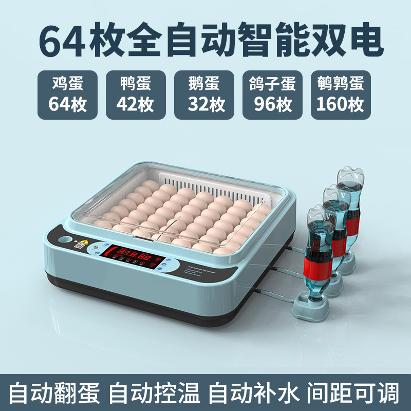 Incubadora, hogar pequeño, incubadora inteligente automática, incubadora, incubadora, loro, huevo de pájaro, pollo, pollo, pollo