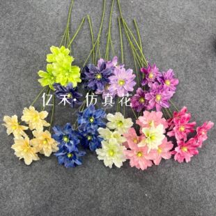 ����4�^���Ļ�Ī�λ��@�L�Ҿ��b��쾰 ��c��Y��·���廨