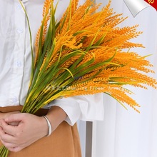 �����Sɫˮ���������b͏d�ٻ��[�������Ʒ�쾰���ϻ�