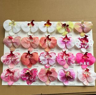 3D��ӡ���滨11cm�����m���^�W�t���ֶY�Y���ֹ��bS�ҬF؛���l