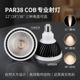 par38�����������X��cob par�����Ƕ��ʽ���b�����led����