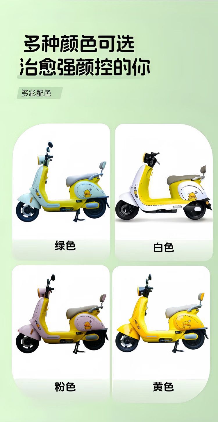 Electric Motorcycle Scooter