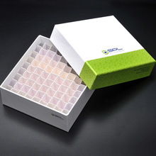 SPL life sciences80081���ö����,PC,9x9(81��)��10��/��