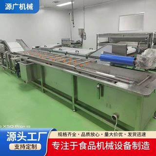 商用桑果杨梅果蔬去农残泥沙清洗流水线 臭氧气泡喷淋清洗一体机