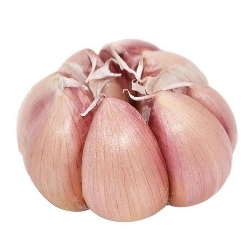 紫皮ニンニク 2.5kg 2024 季節の新鮮野菜全箱新乾燥ニンニク頭卸売赤皮農場産|undefined