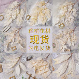 婚庆花材香槟浅黄色系婚礼堂壁挂吊顶装饰插花路引橱窗美陈假花绢