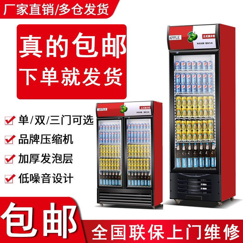 饮料柜冷藏展示柜立式商用冰箱单门保鲜柜冷柜带锁带灯双门啤酒柜