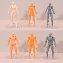 figma素体2.0 绘画道具男性 女性青年版 肌肤色 可动手办模型摆件